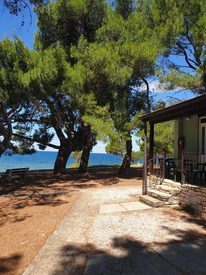 Family Bungalow Pineta Novigrad Istria Exteriör bild