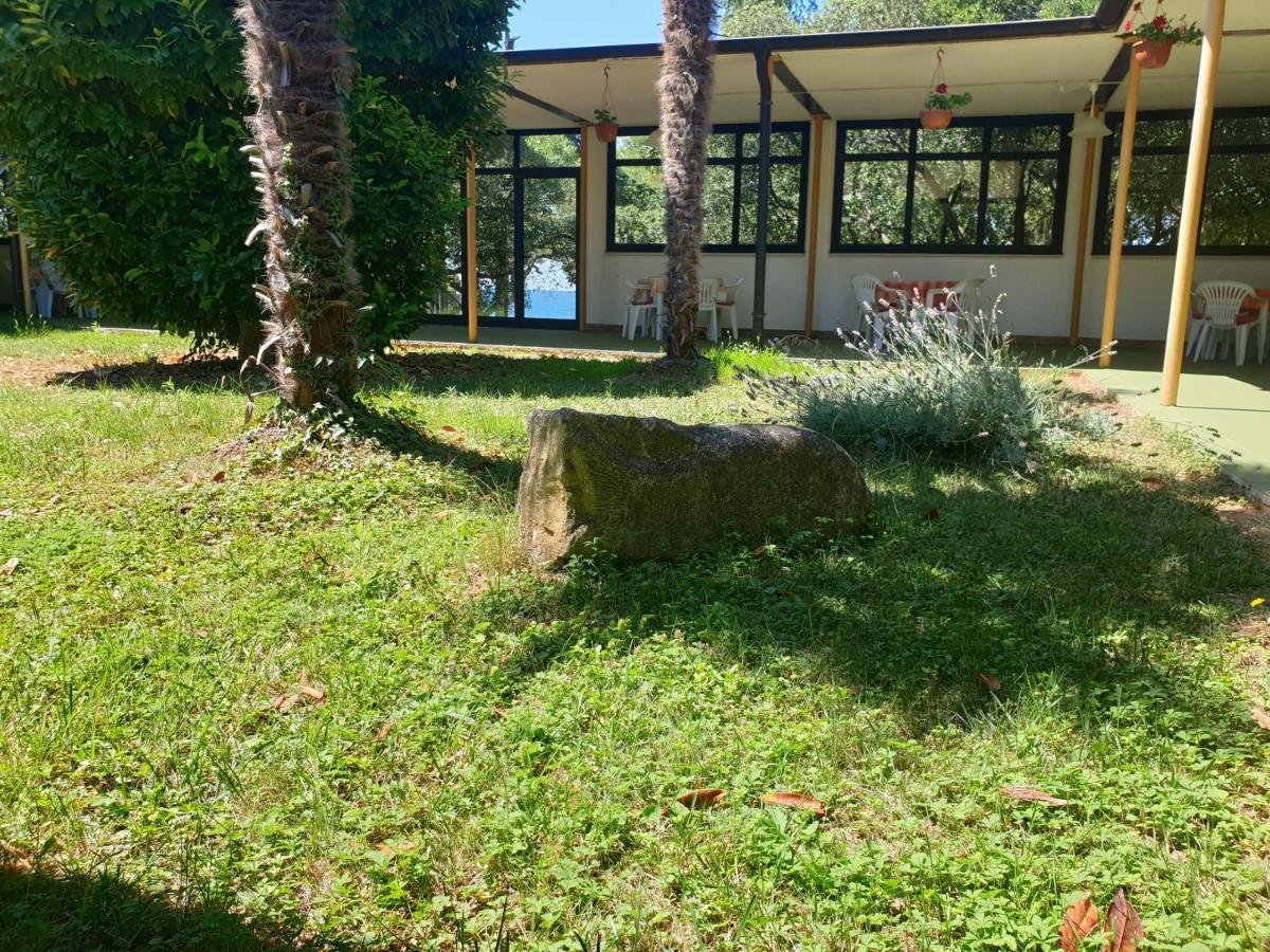 Family Bungalow Pineta Novigrad Istria Exteriör bild