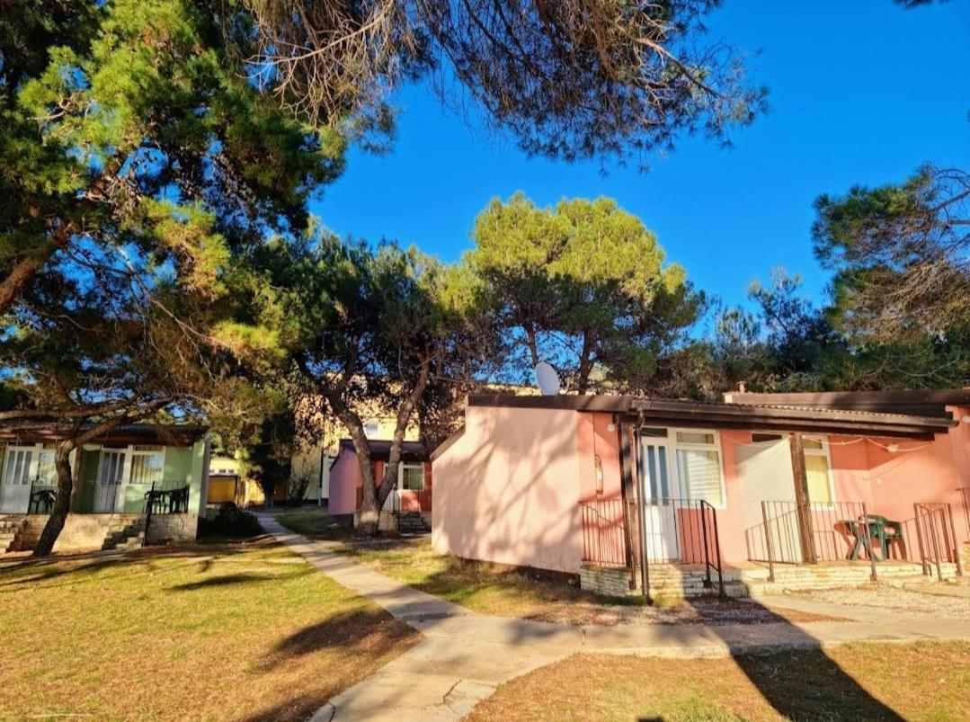 Family Bungalow Pineta Novigrad Istria Exteriör bild