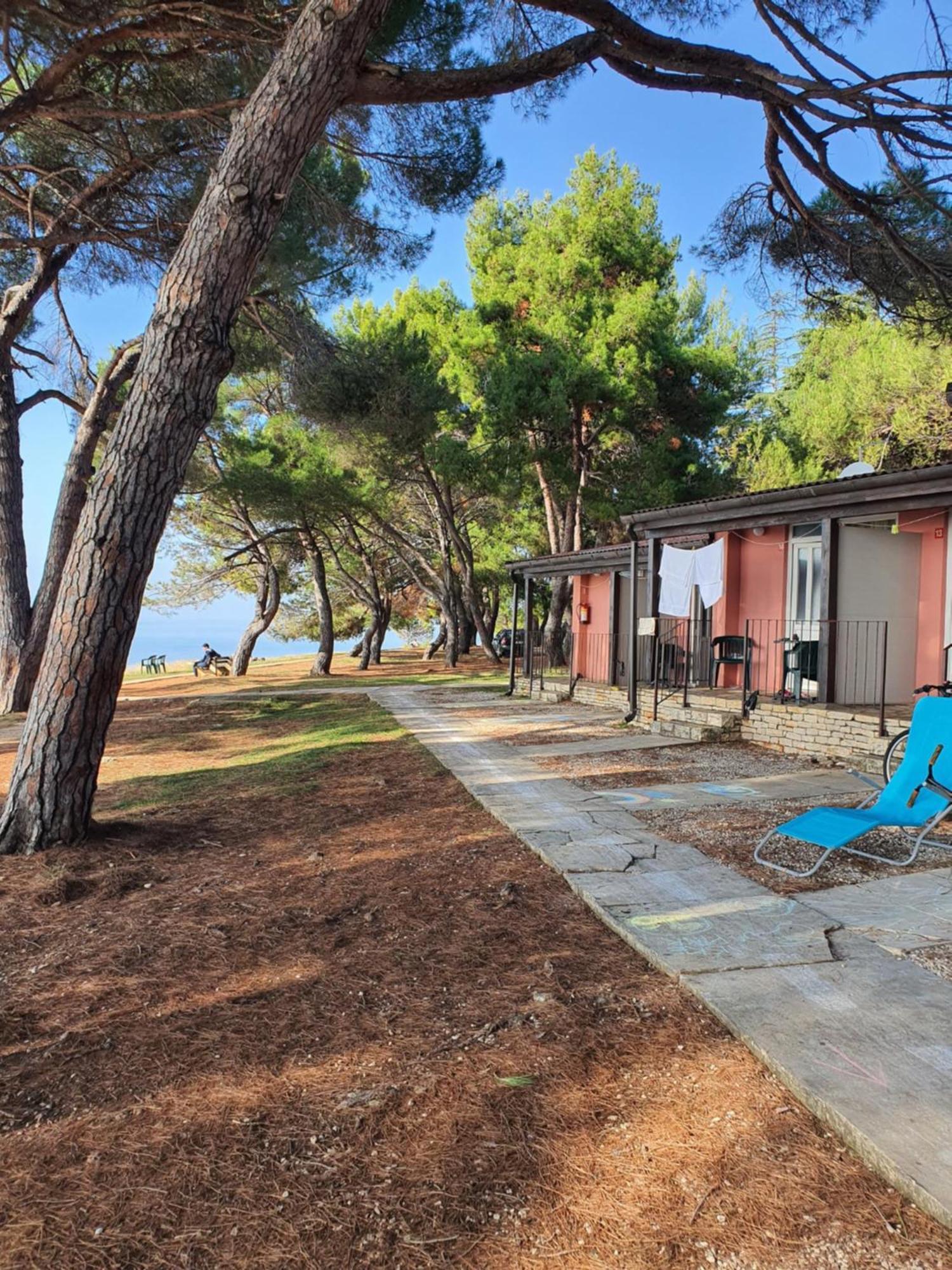 Family Bungalow Pineta Novigrad Istria Exteriör bild